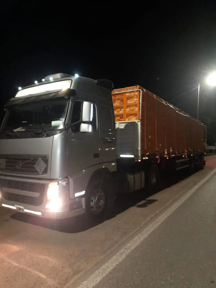 Flota y operaciones de Transporte GEMACO
